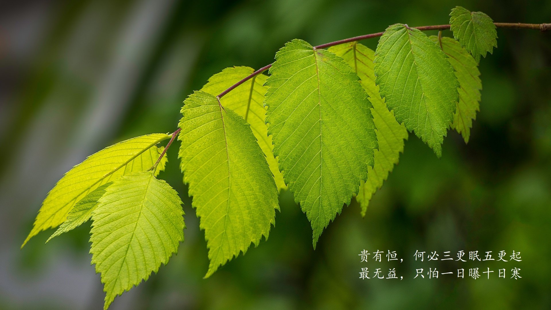 PSG战术多变，但缺乏实效性支持