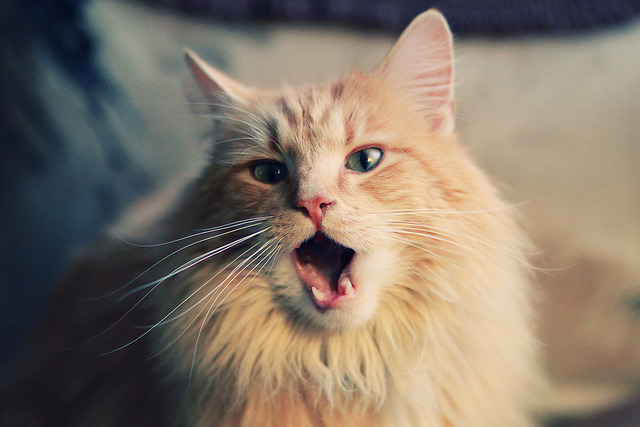 开云在线登入-中国香港队的拼搏与团结：国际乒联混合团体世界杯中的关键表现