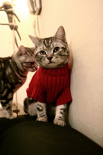 开云官网-球员个性化品牌打造开启篮球商业新篇章，篮球爱好者个性标签