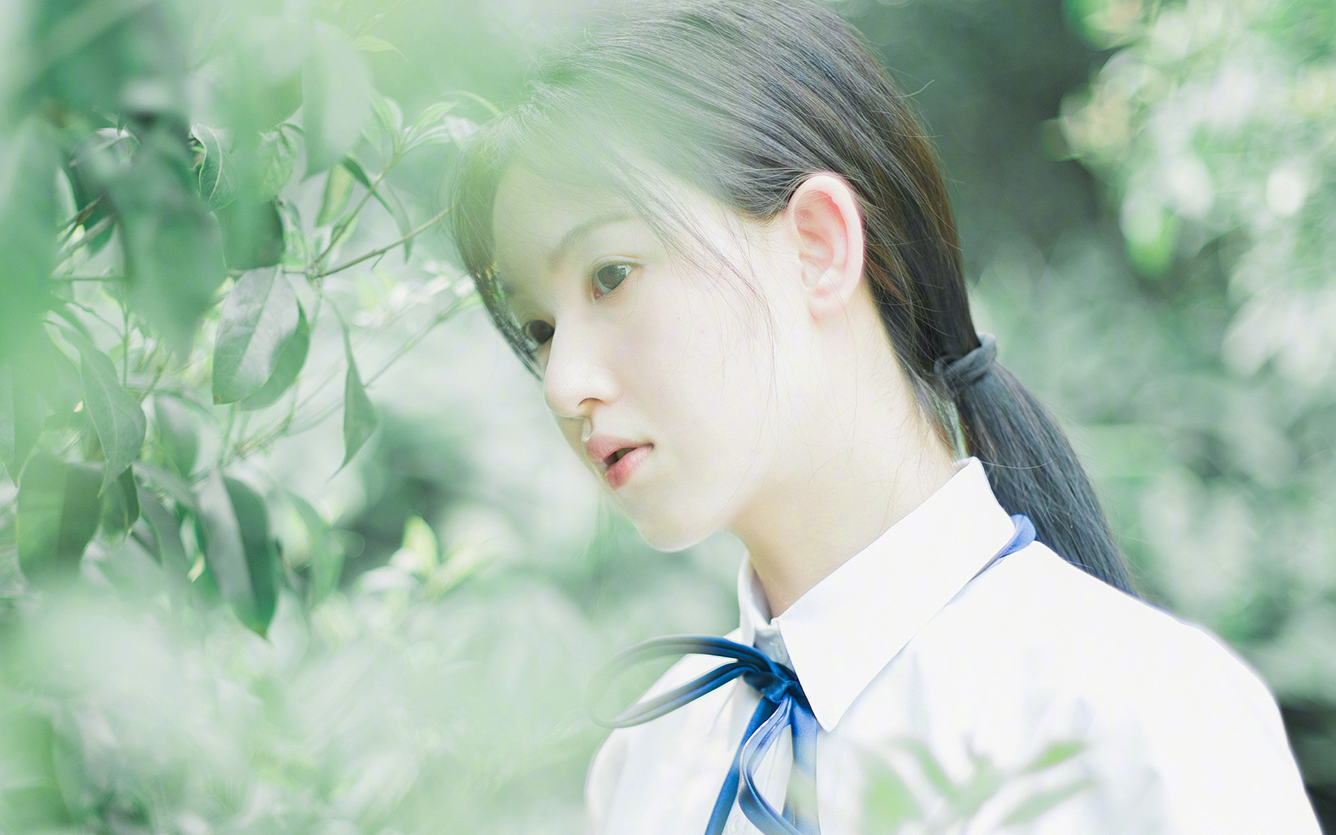 新西兰全黑队依靠快速节奏主宰比赛，防守与进攻完美结合，新西兰全黑队慈善公益